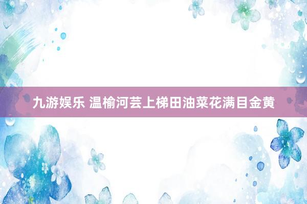 九游娱乐 温榆河芸上梯田油菜花满目金黄